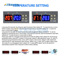 STC 3008 Led Dual Display Two way Thermostat DC 12V Red and Blue Dual Probe Micro Temperature Controller Thermometer